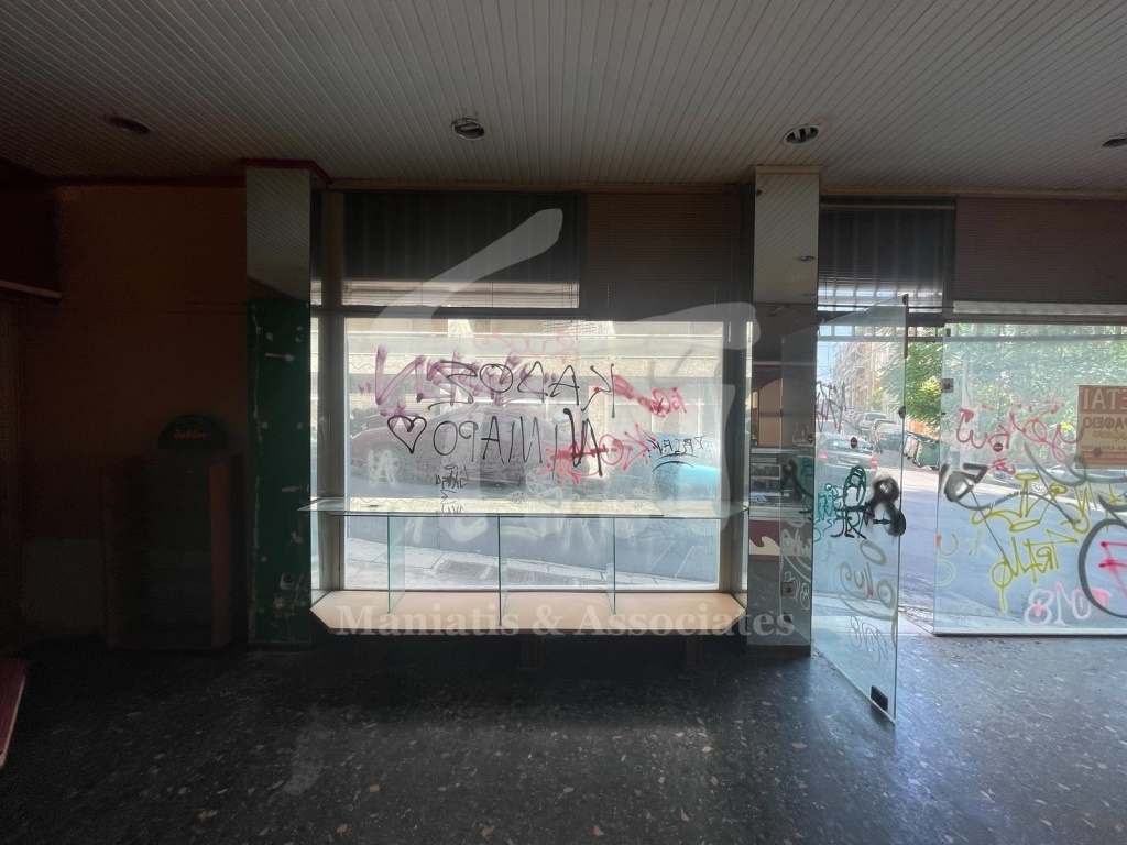 Gallery image 13