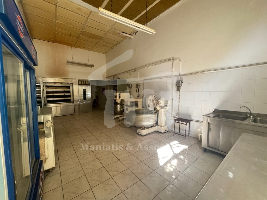 Gallery image 4