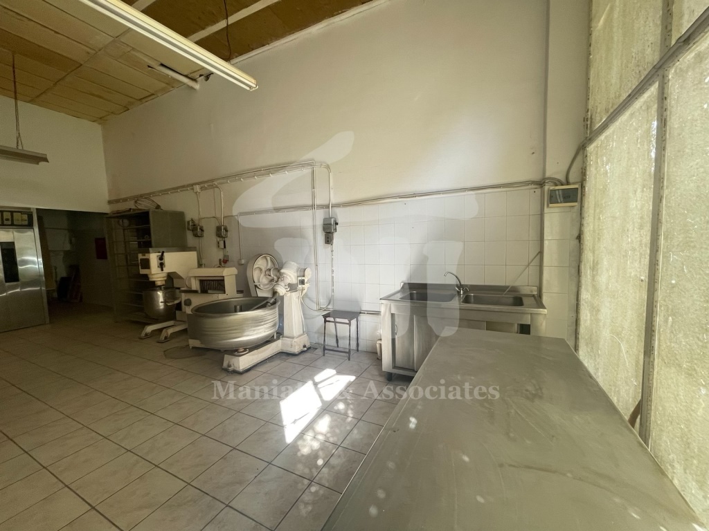 Gallery image 14