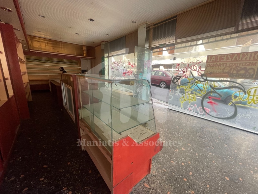 Gallery image 11