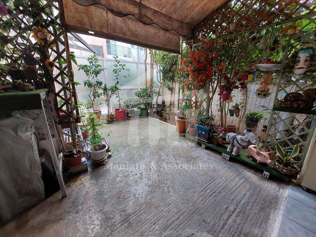 Gallery image 12