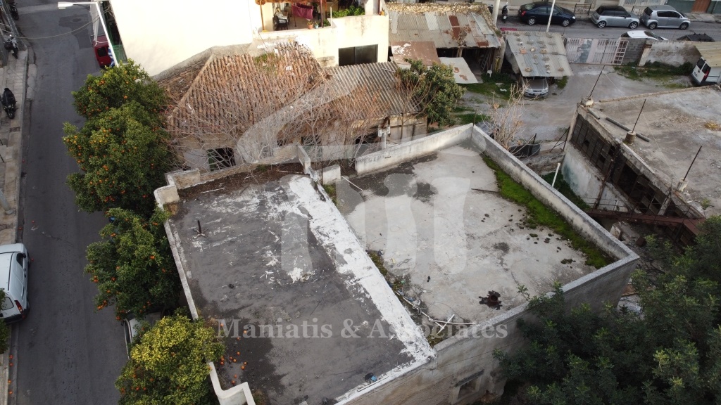 Gallery image 13