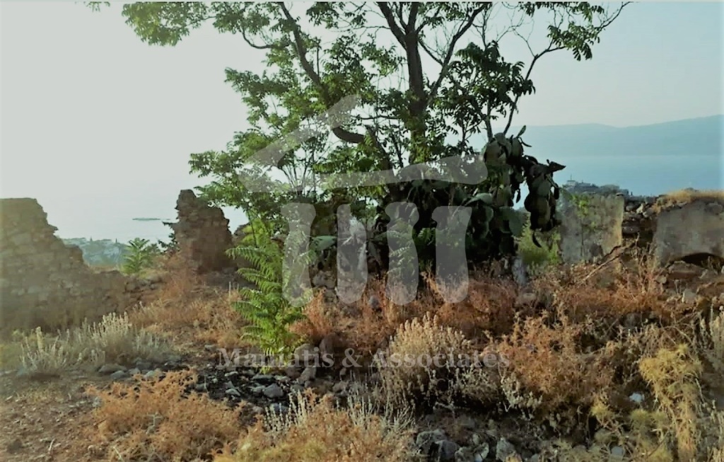 Gallery image 9