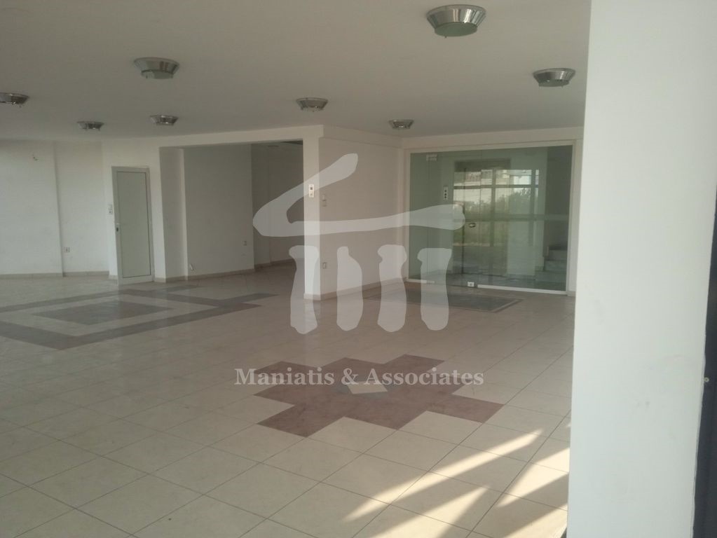Gallery image 6