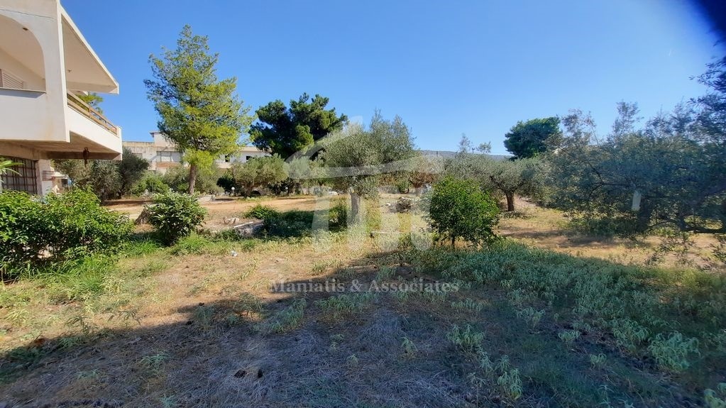 Gallery image 18