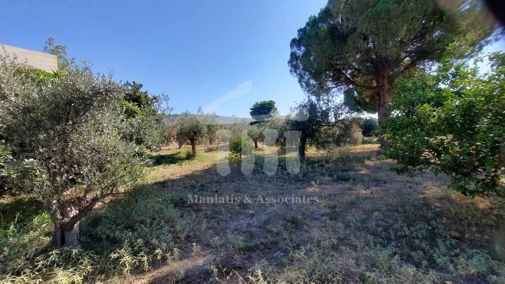 Gallery image 16