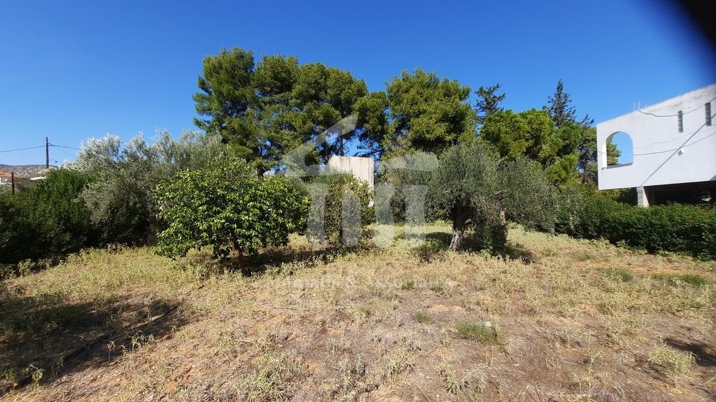 Gallery image 17