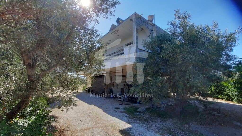 Gallery image 12