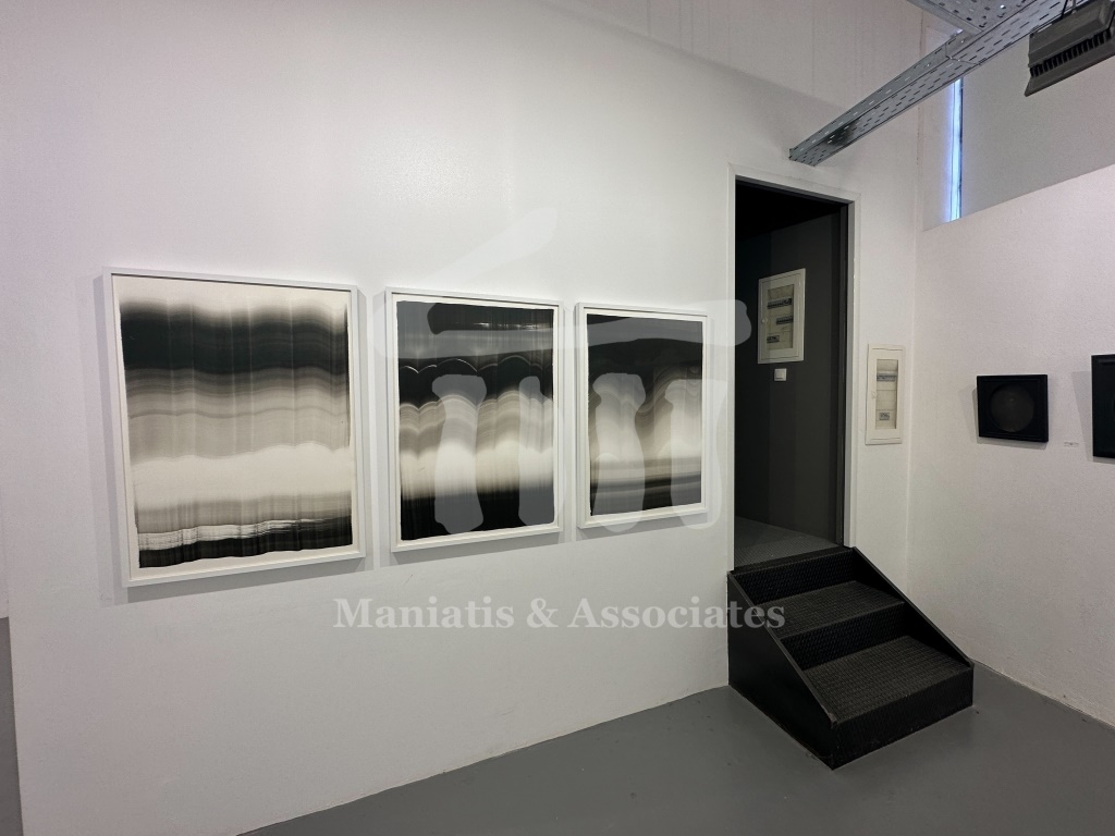 Gallery image 11