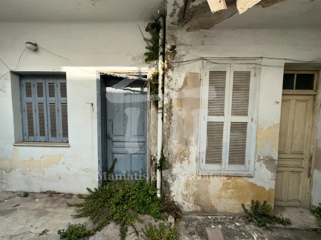Gallery image 20