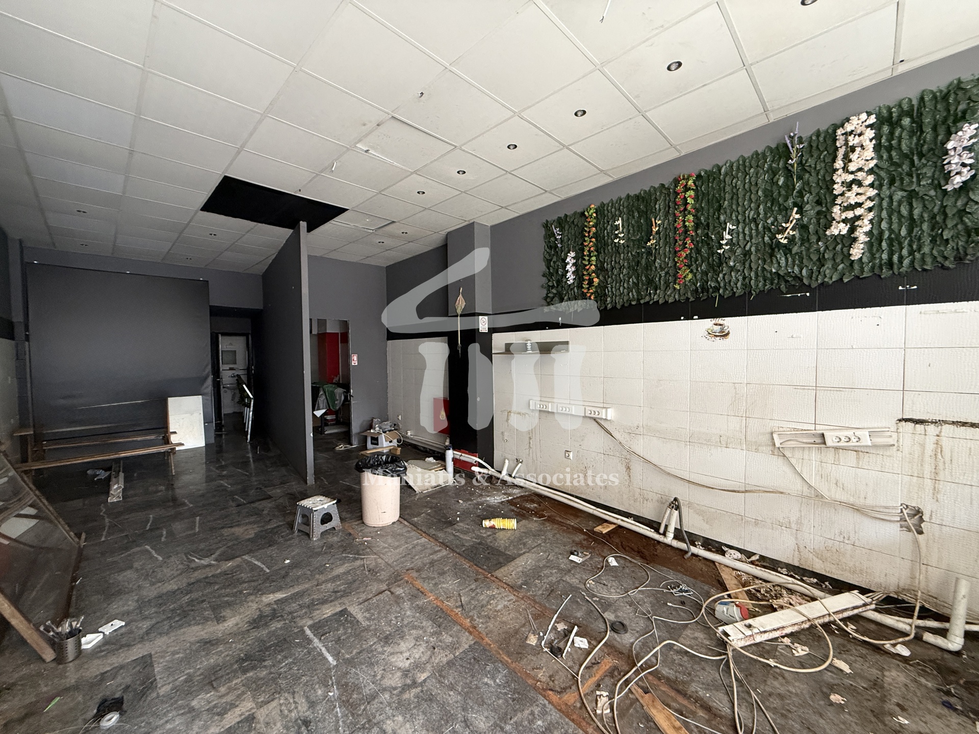 Gallery image 7