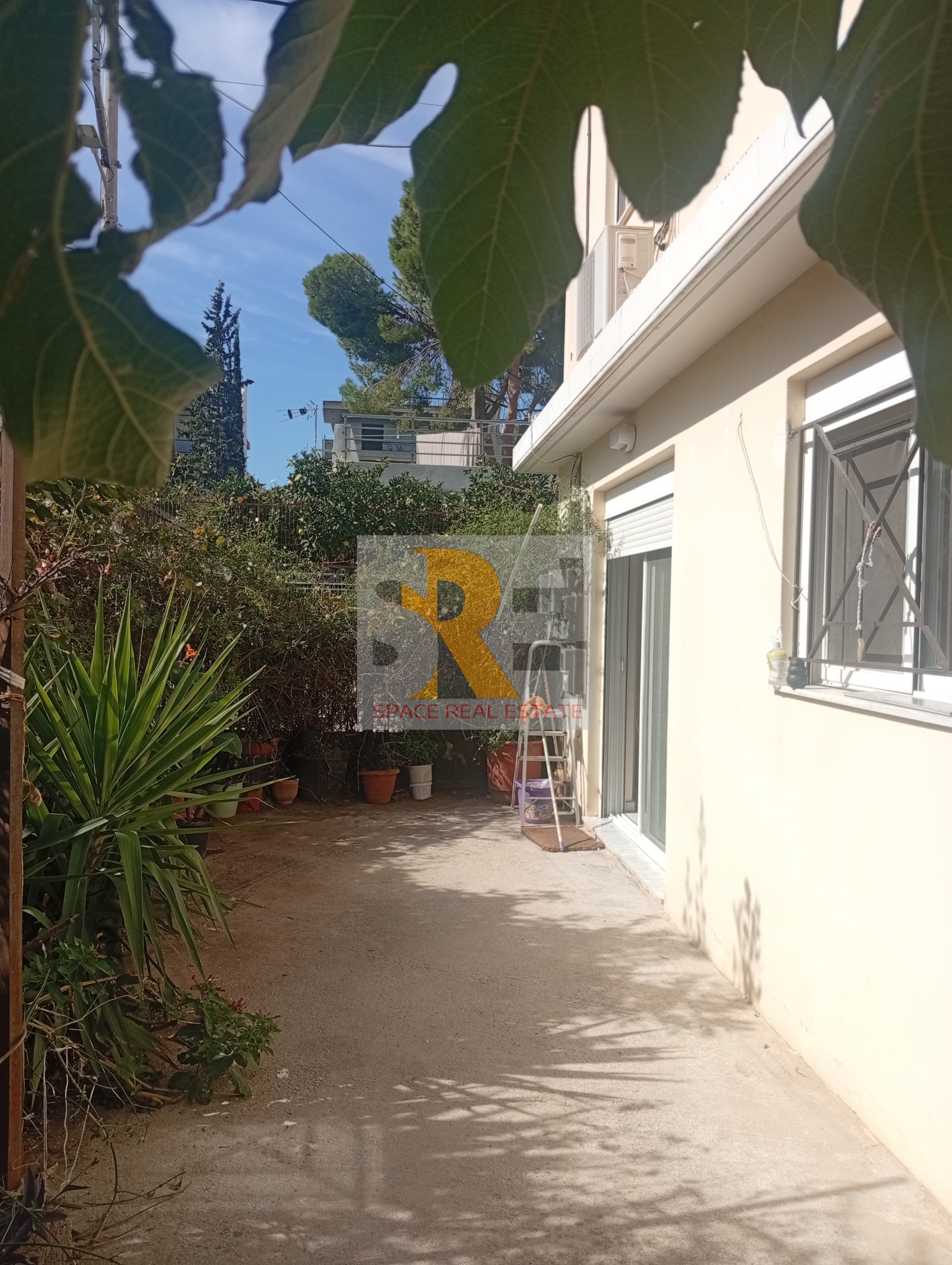 Gallery image 25