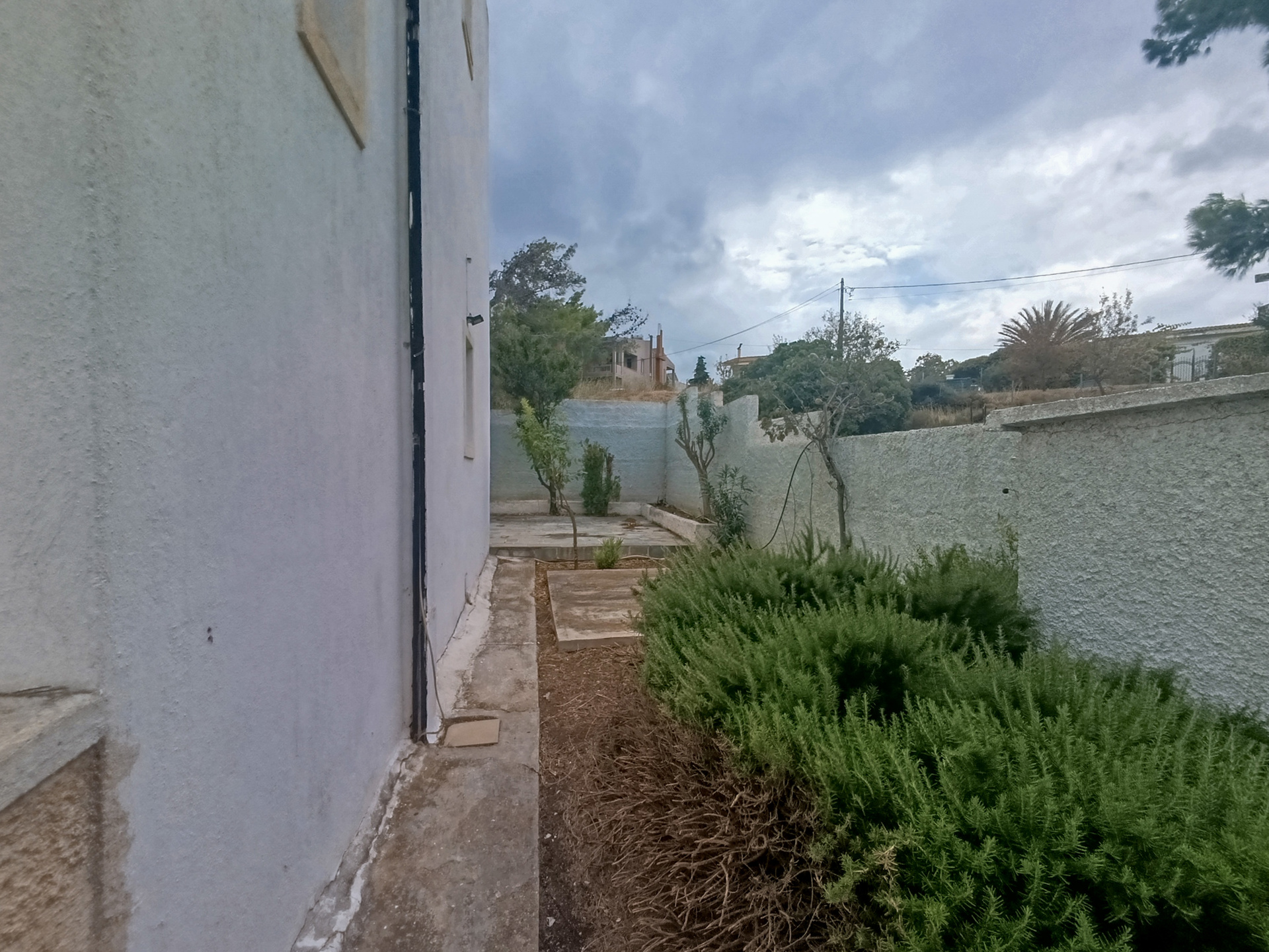 Gallery image 36