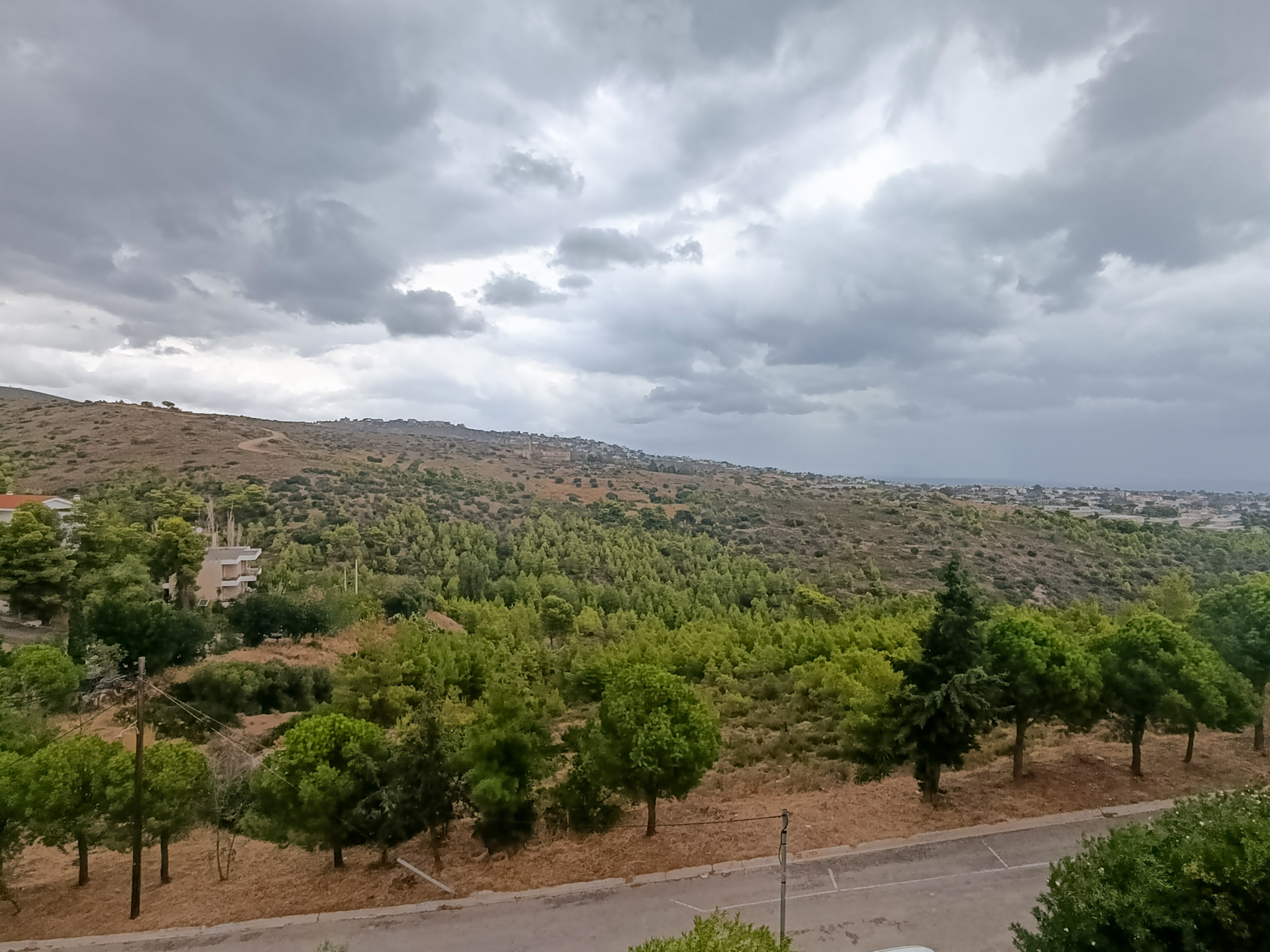 Gallery image 37