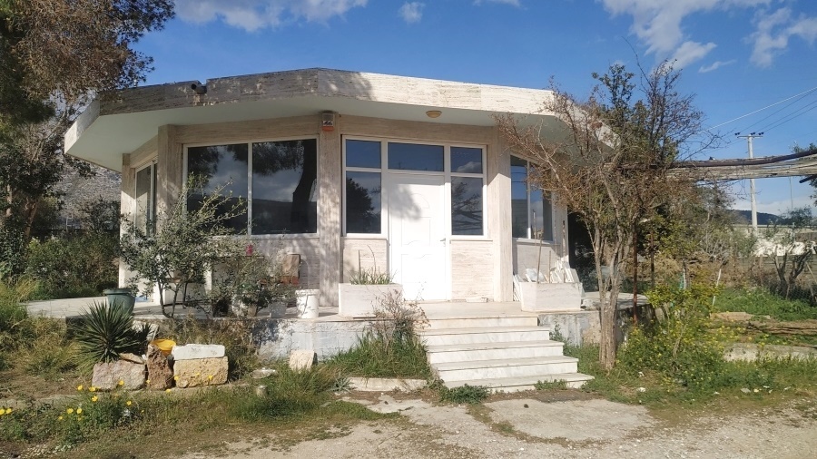 Gallery image 12