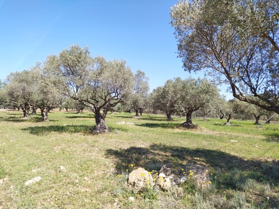 Gallery image 5