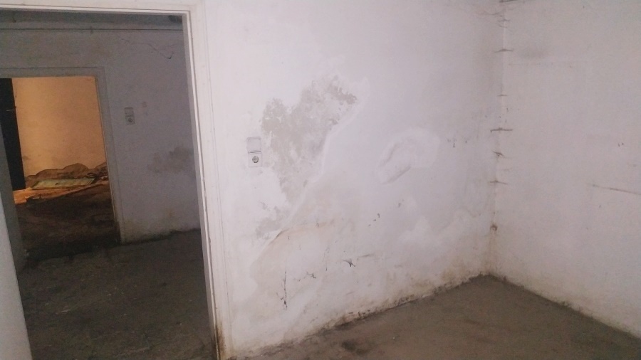Gallery image 12