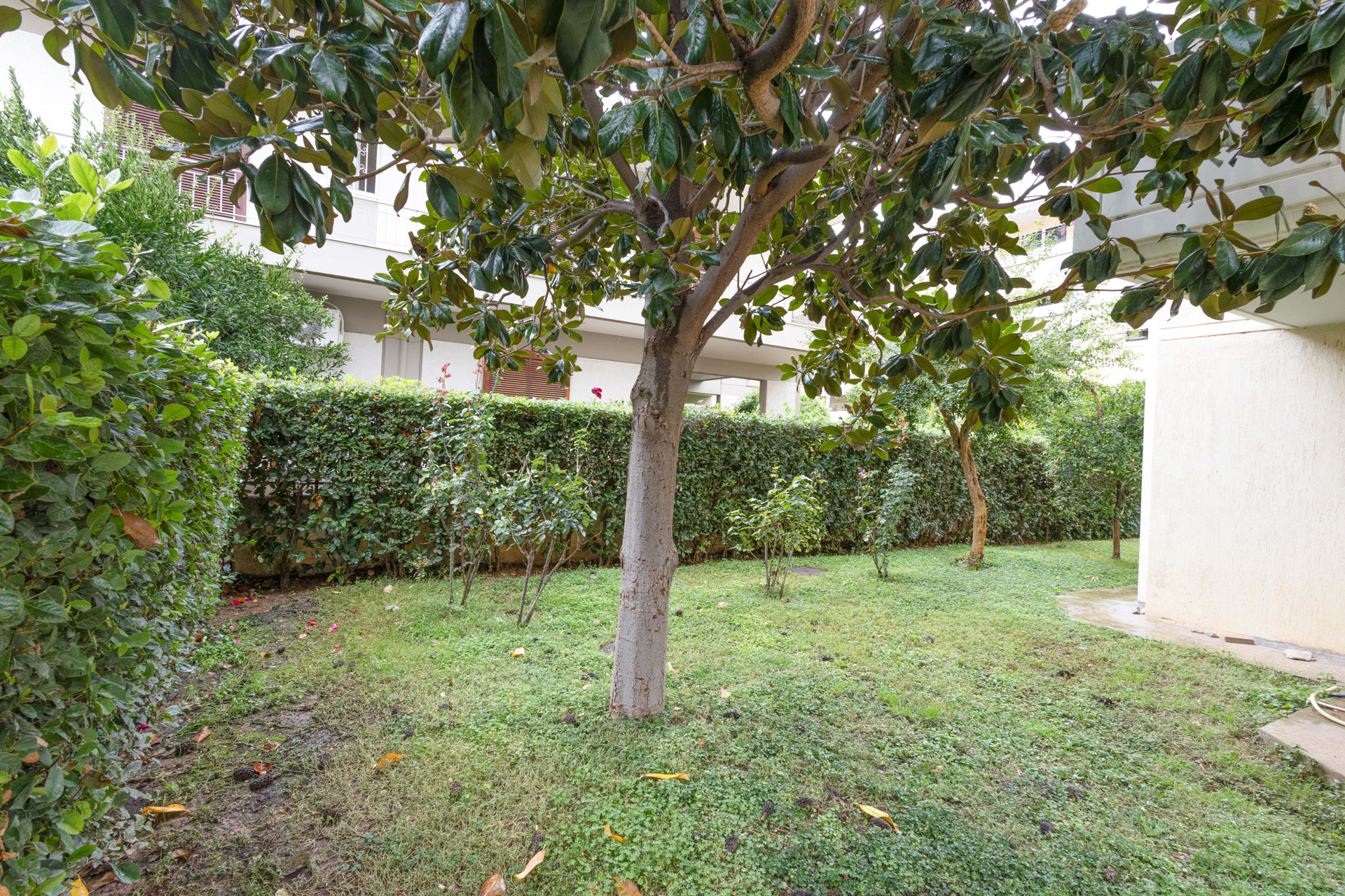 Gallery image 24