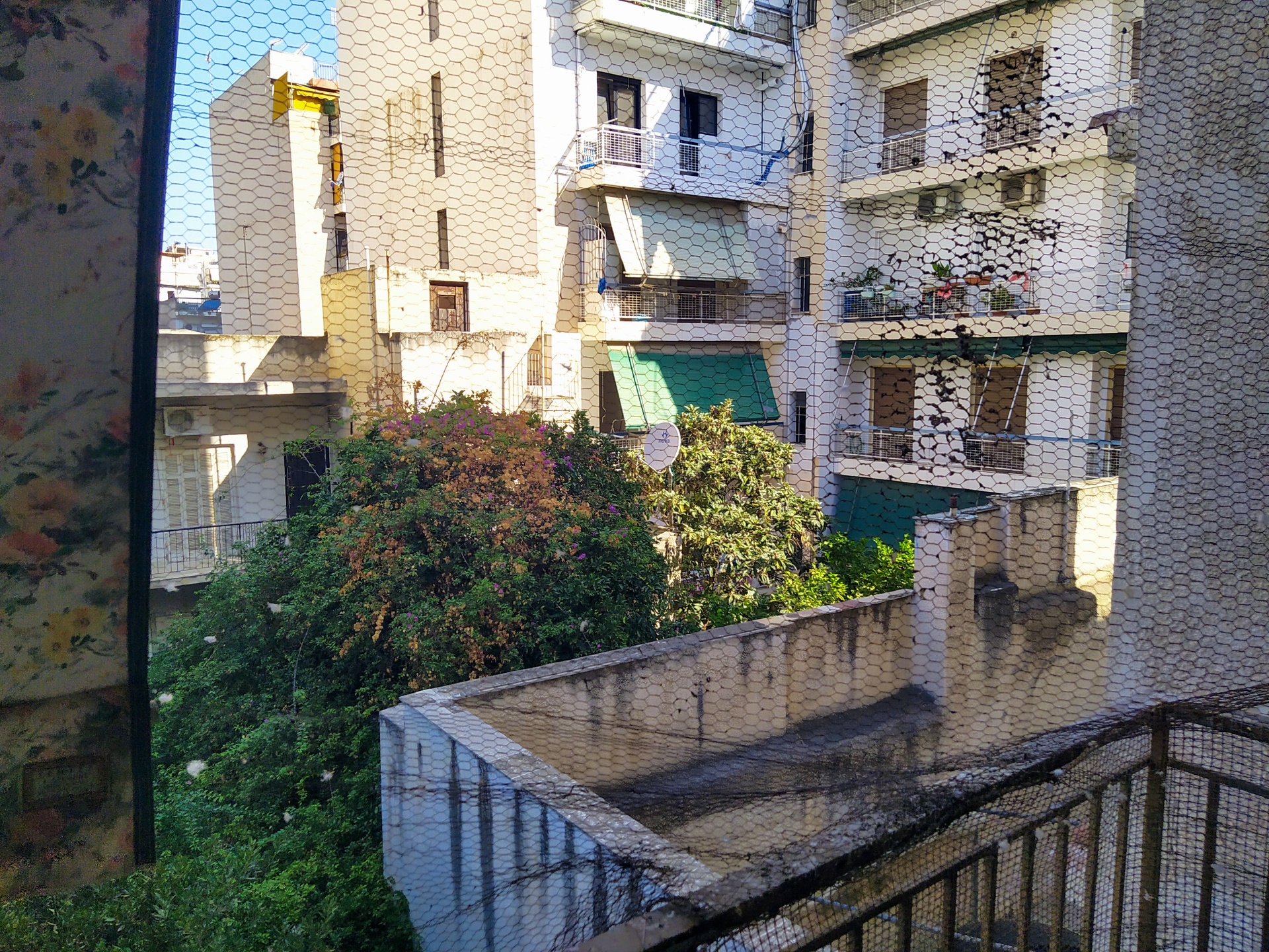 Gallery image 9