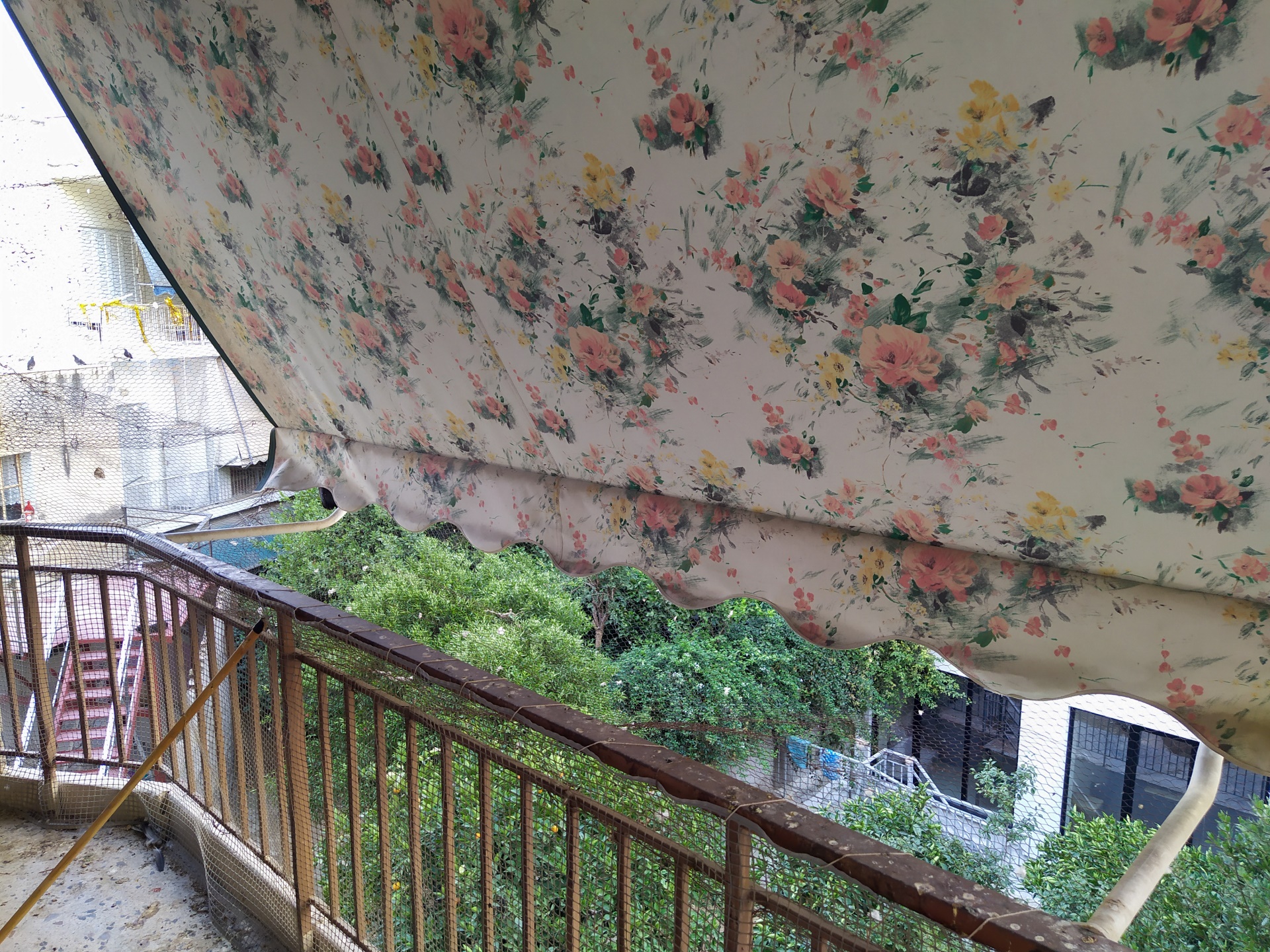 Gallery image 8