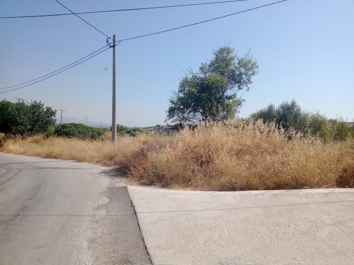 Gallery image 9
