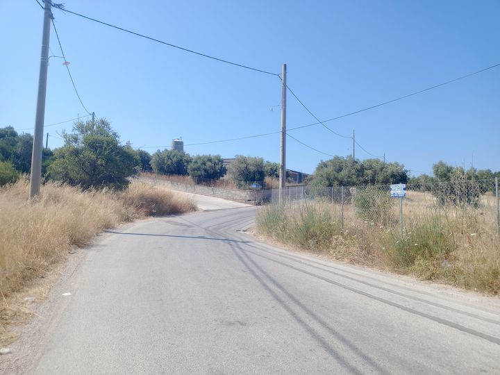 Gallery image 12