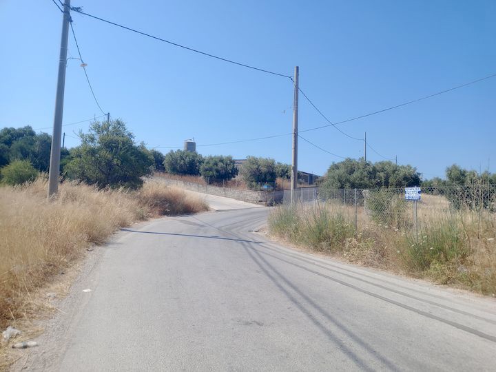 Gallery image 11