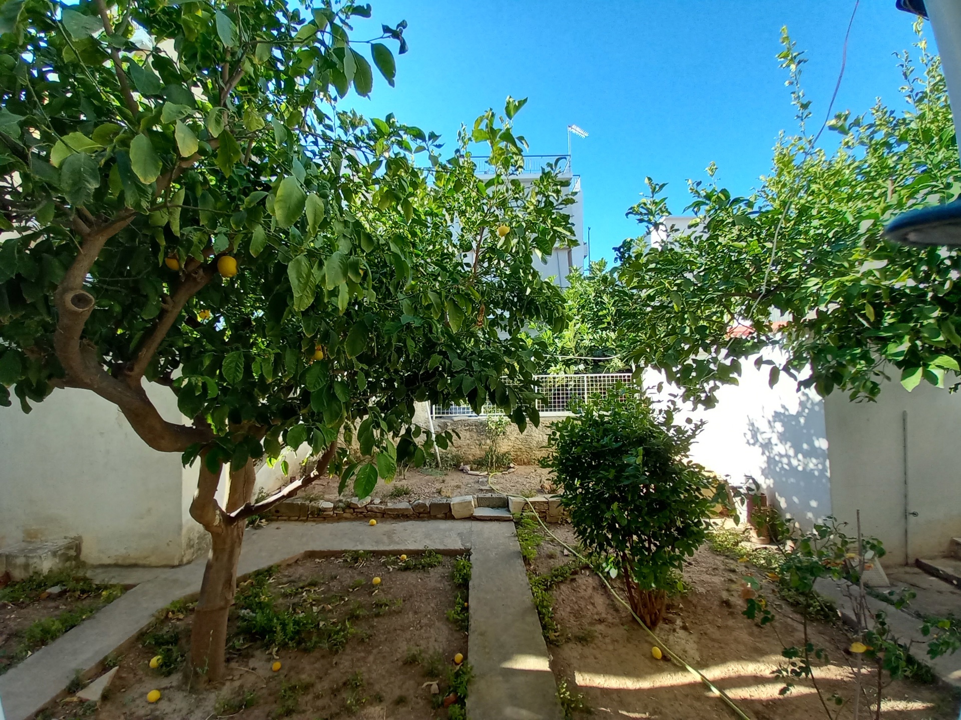 Gallery image 24
