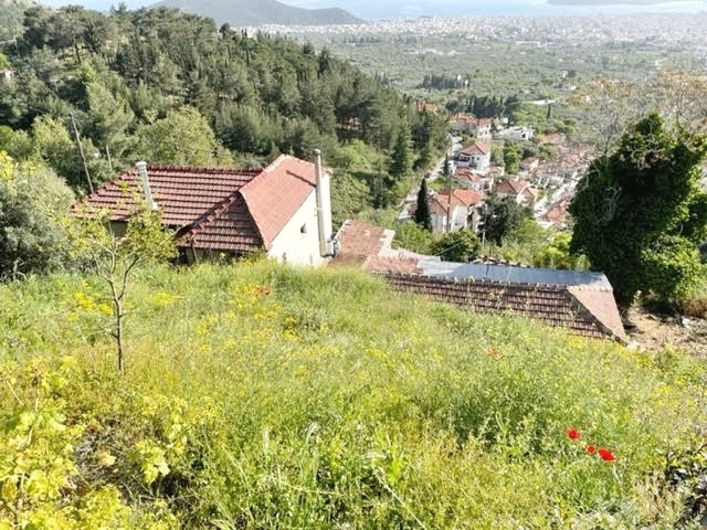 Gallery image 6