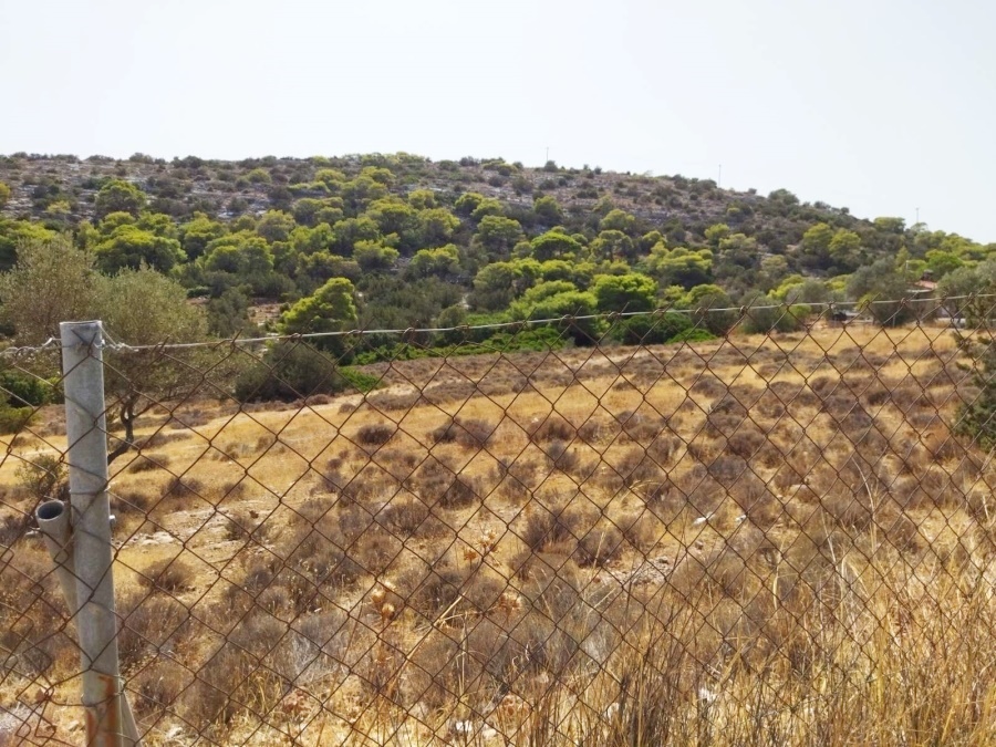 Gallery image 9