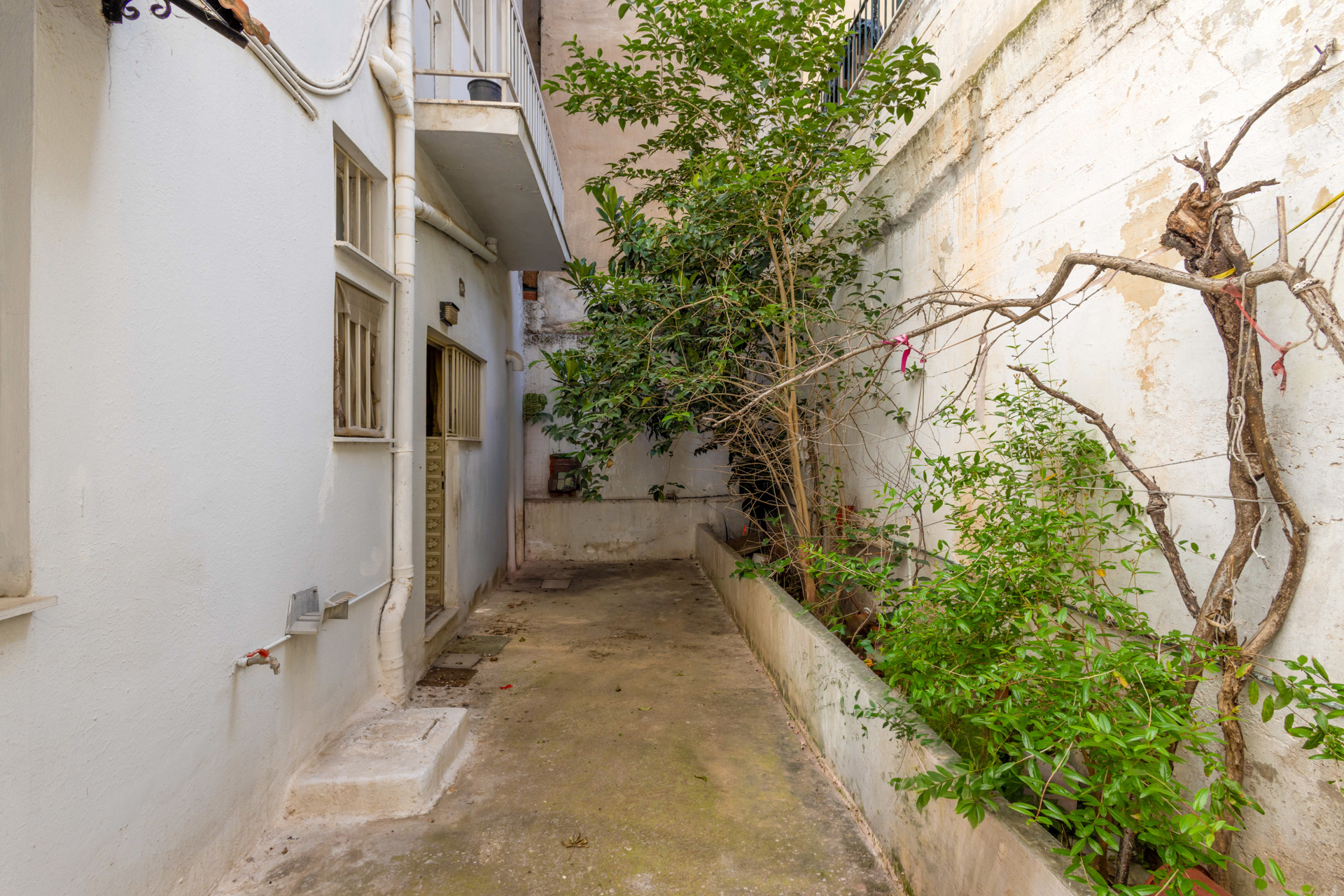 Gallery image 18