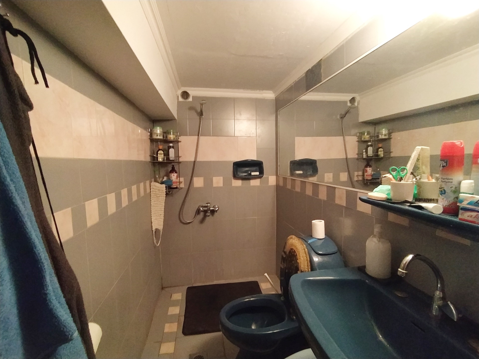 Gallery image 11