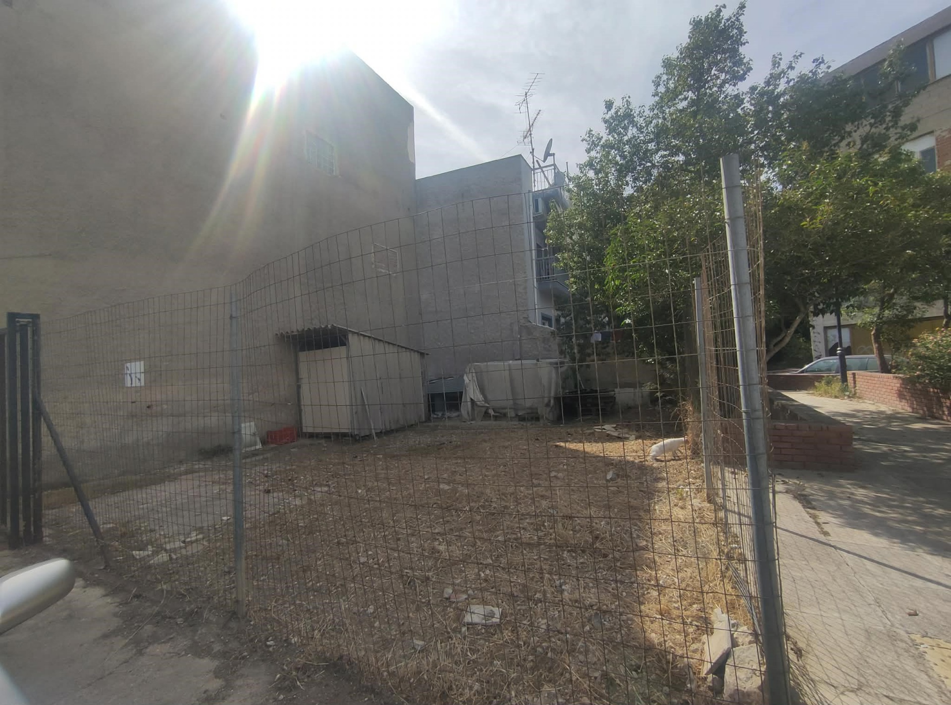 Gallery image 6