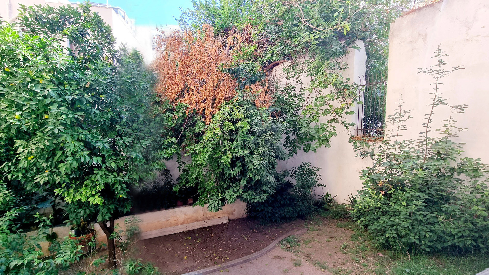 Gallery image 18