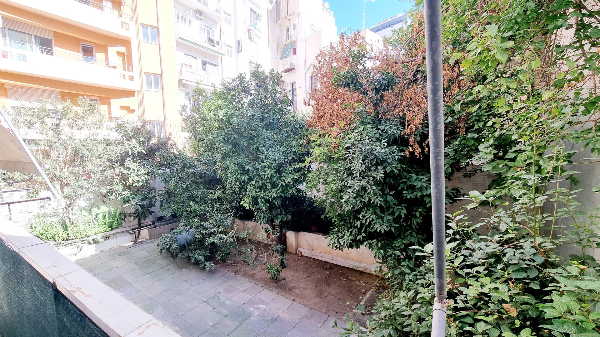 Gallery image 19