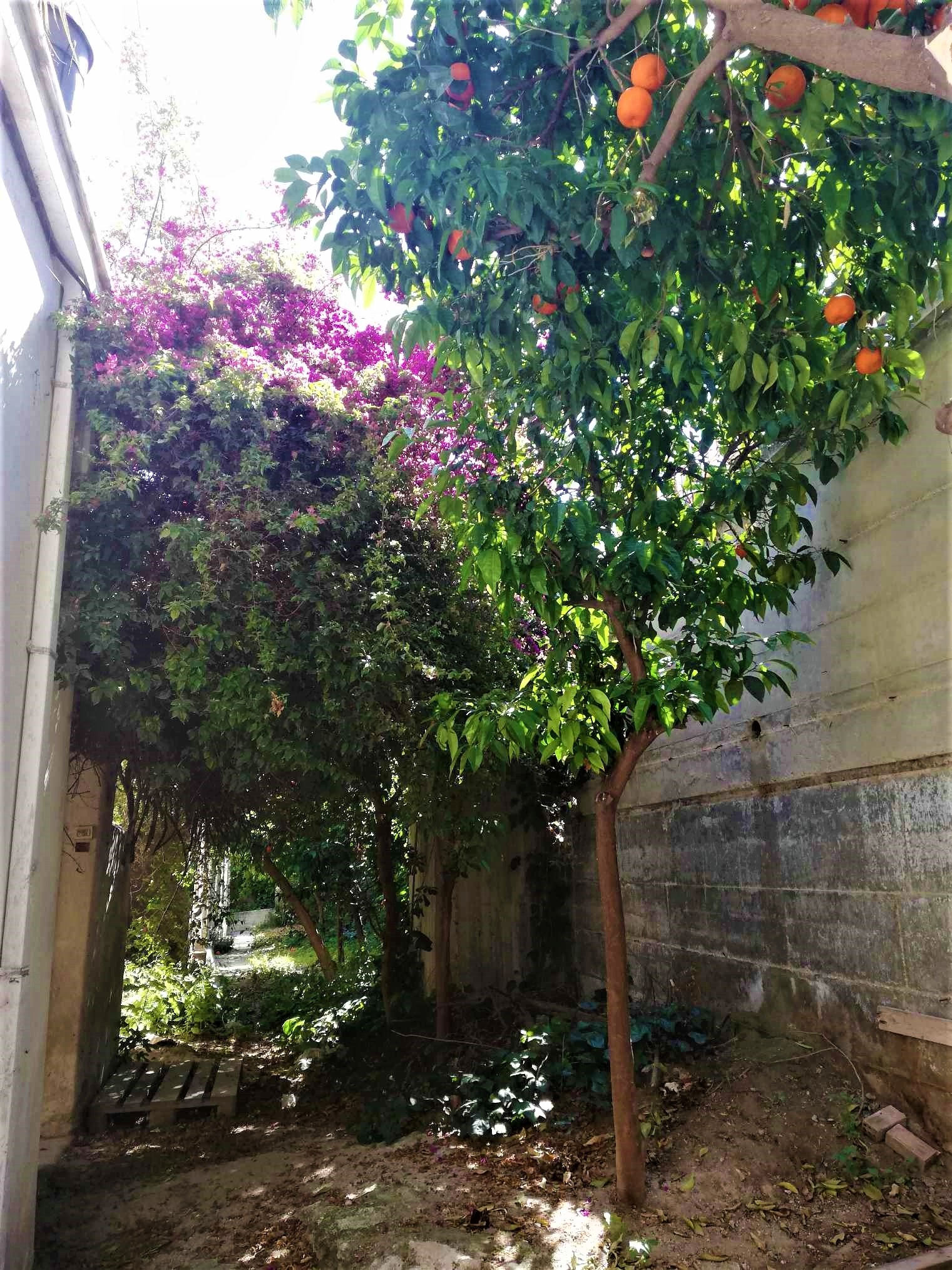 Gallery image 4