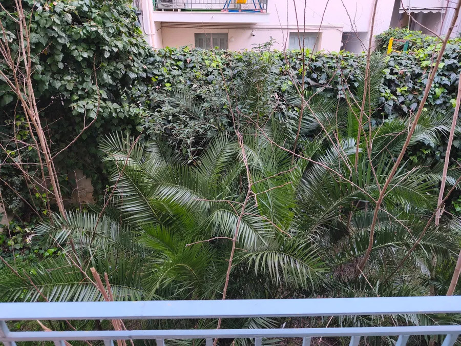 Gallery image 11