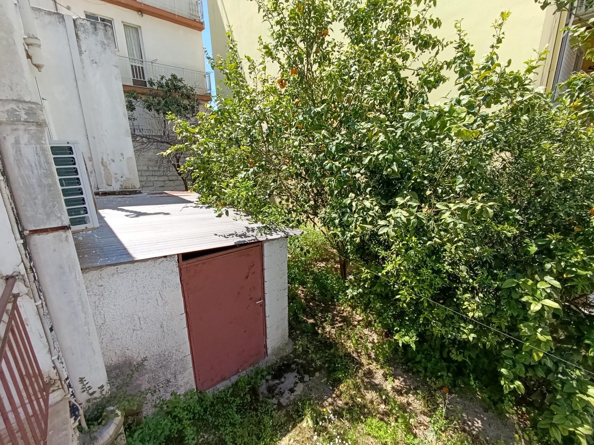 Gallery image 12