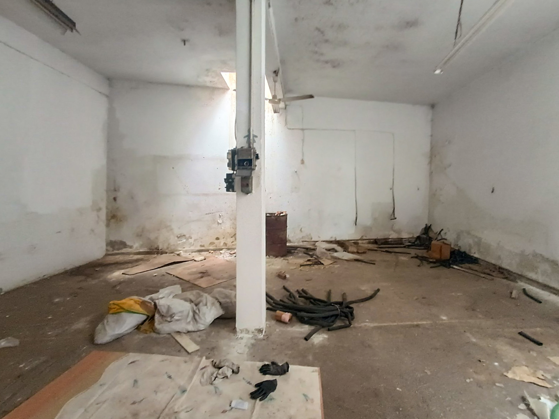 Gallery image 10