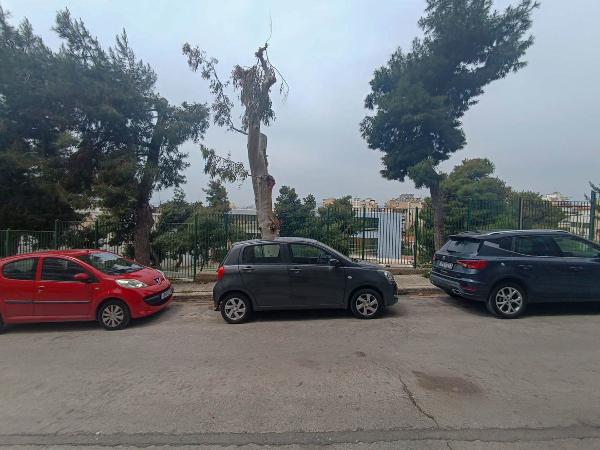 Gallery image 11