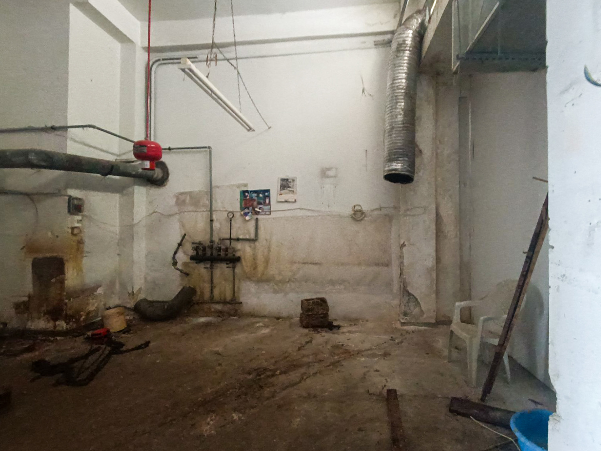 Gallery image 7