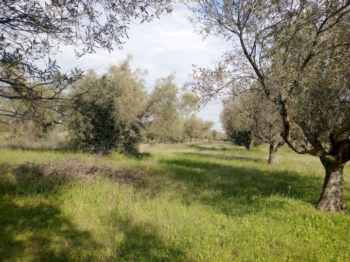 Gallery image 3