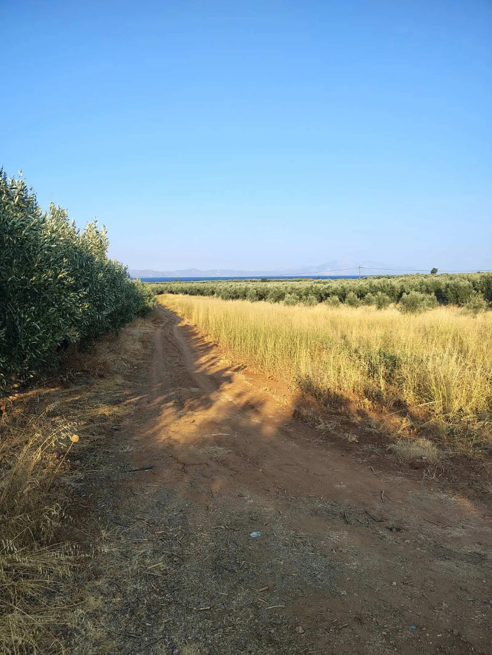 Gallery image 12
