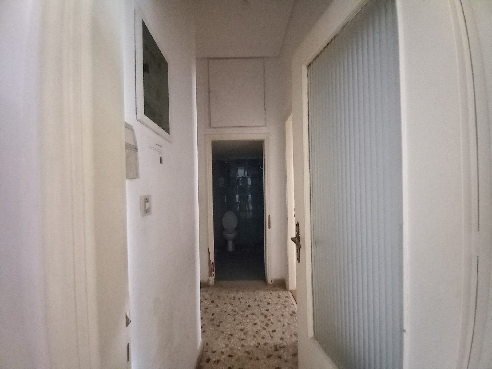 Gallery image 14