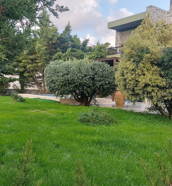 Gallery image 23