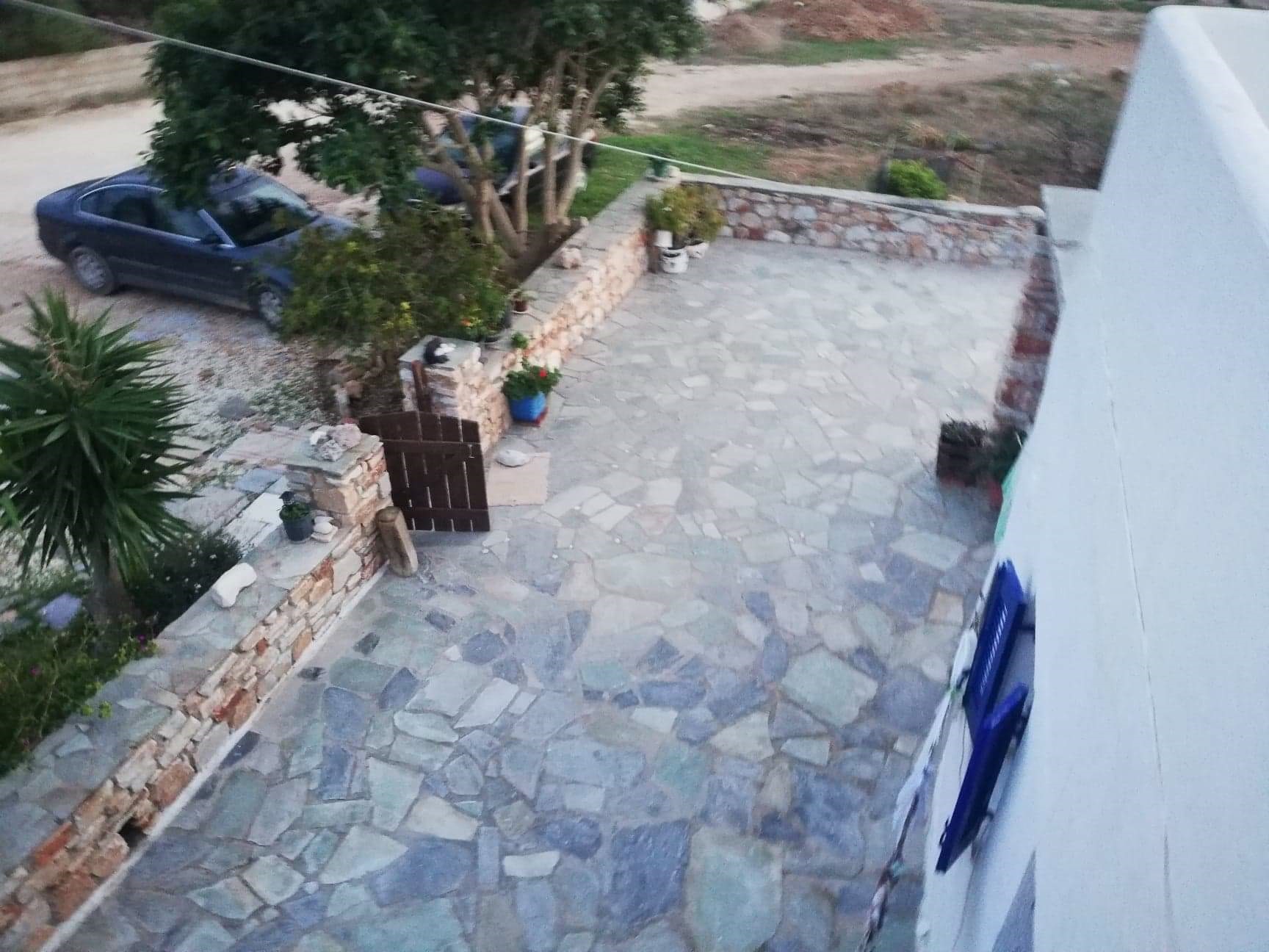 Gallery image 7