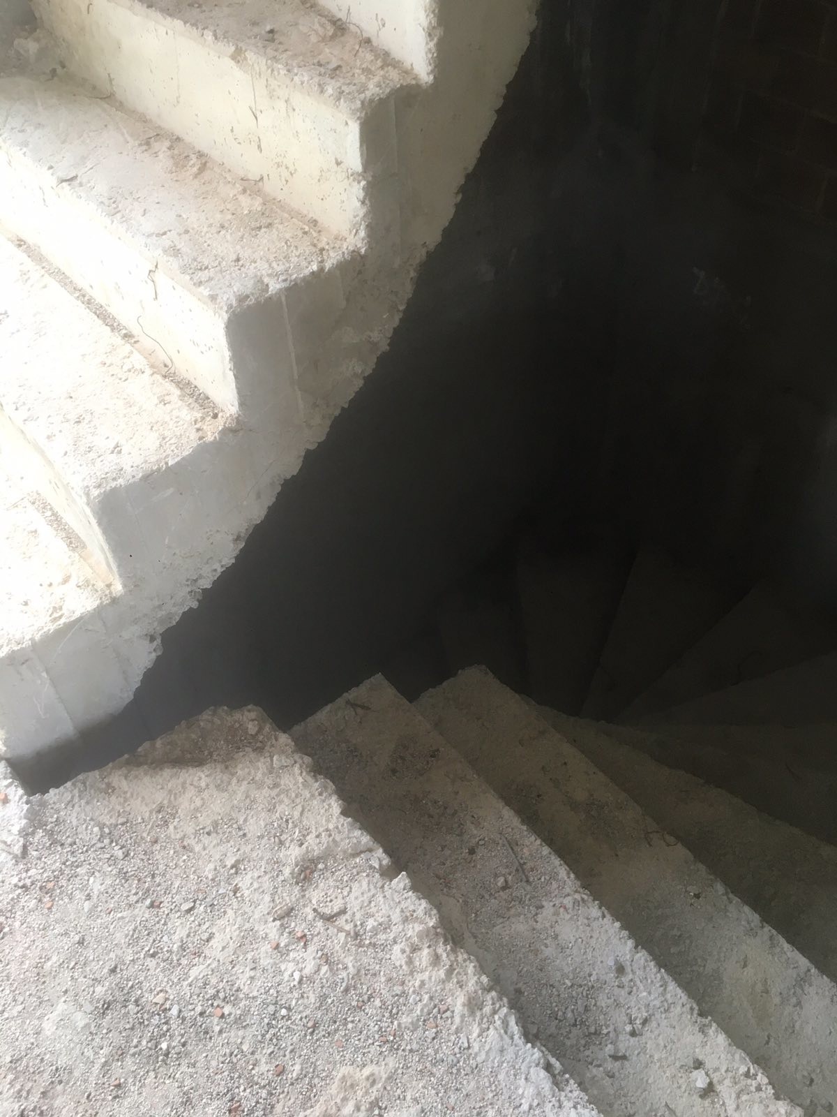 Gallery image 12