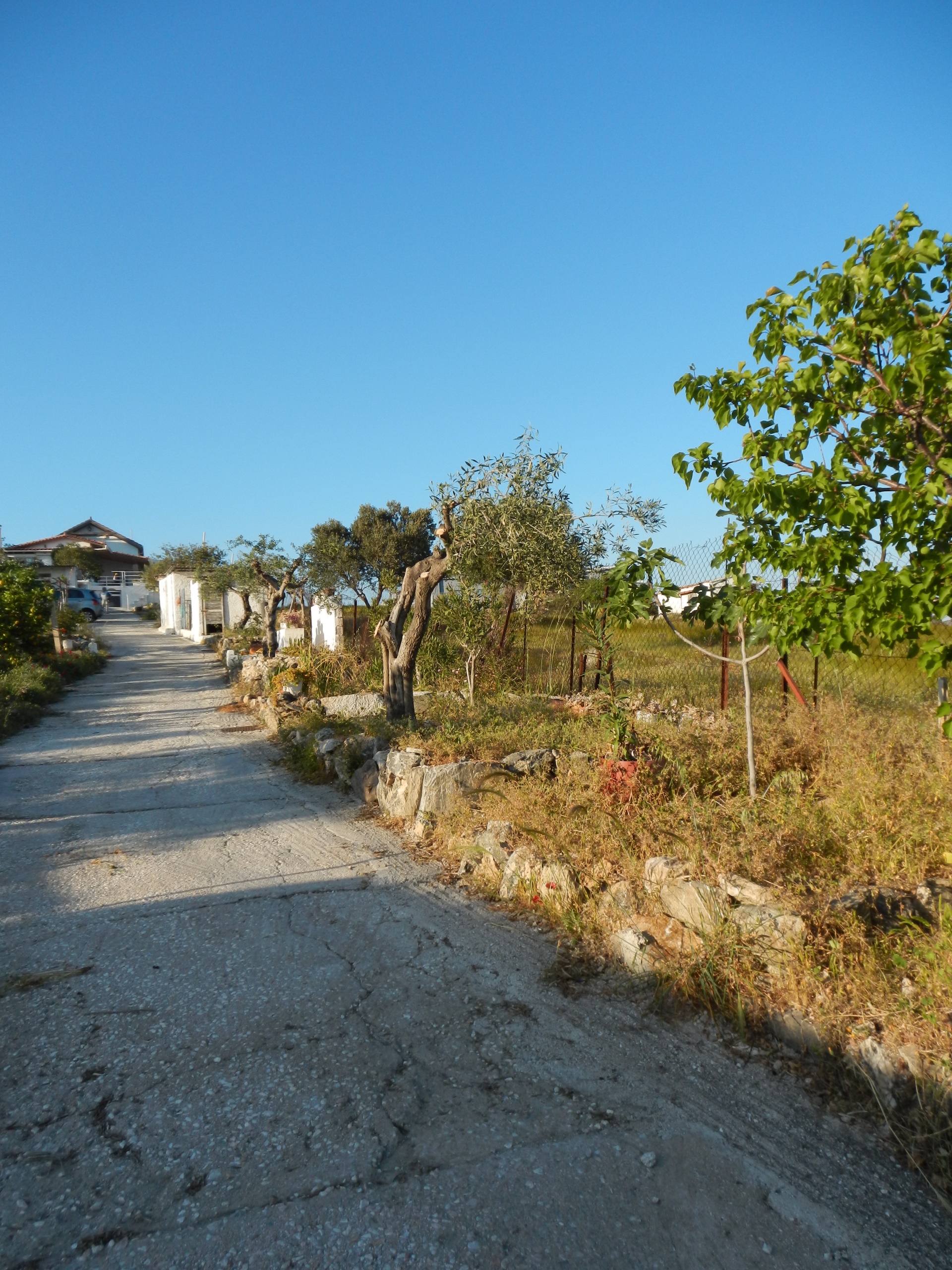 Gallery image 15