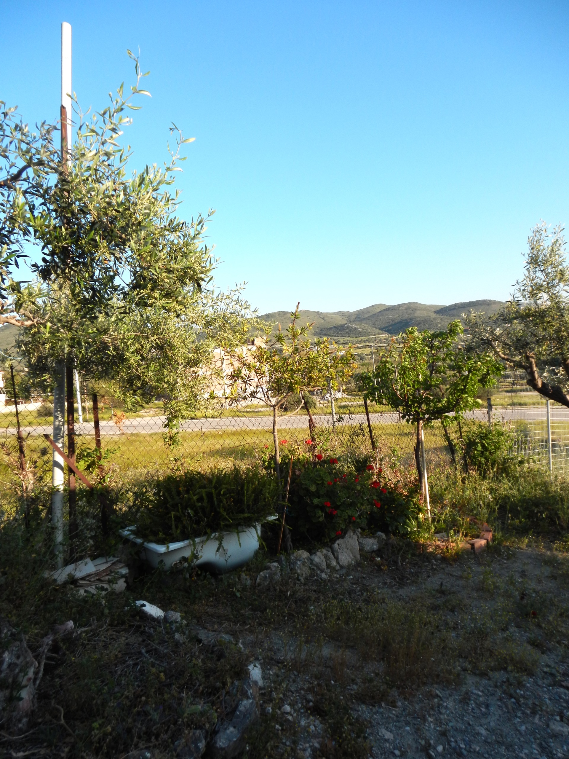Gallery image 11