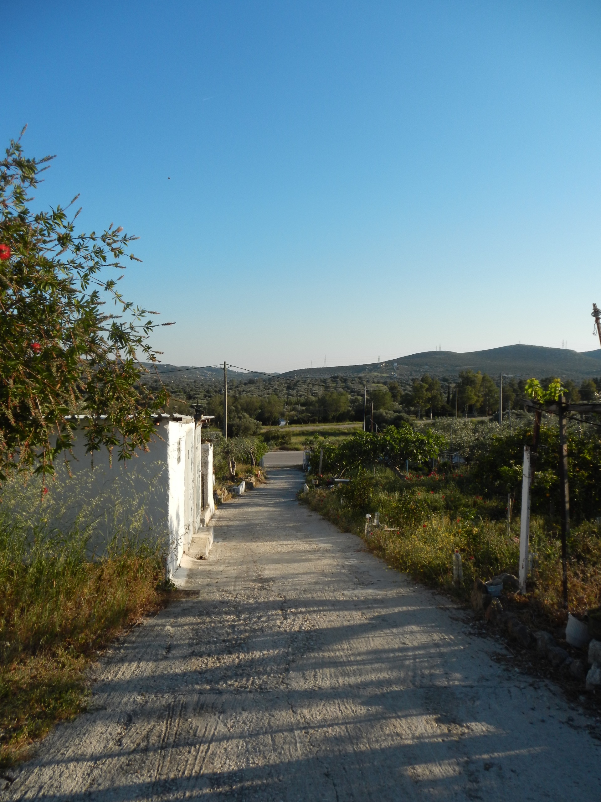 Gallery image 12